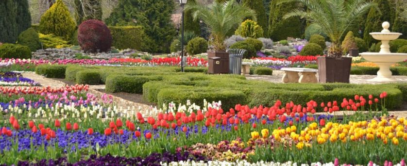 от ВАРНА - ПРАЗНИК НА ЛАЛЕТО В БАЛЧИК и НОС КАЛИАКРА