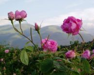 от БУРГАС и АЙТОС - В СЪРЦЕТО НА ТРАКИЯ: КАЗАНЛЪК И ГРОБНИЦА ОСТРУША