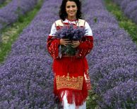 от БУРГАС - ФЕСТИВАЛ НА ЛАВАНДУЛАТА