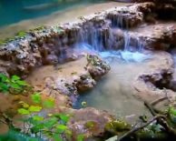 от Варна и Шумен - Крушунски водопади