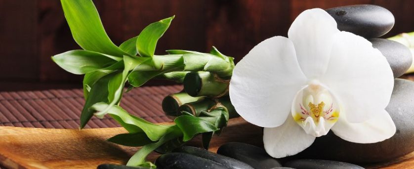 от ВАРНА и БУРГАС - СПА В КРАСНОВСКИ МИНЕРАЛНИ БАНИ