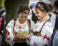 от ПЛОВДИВ и СОФИЯ - ПРАЗНИК НА ВИНОТО В ГРАД ТОПОЛА - СЪРБИЯ