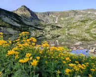 от ПЛОВДИВ - МАГИЯТА НА САКАР ПЛАНИНА