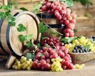 от ВАРНА - ТРИФОН ЗАРЕЗАН - СВЕТИ ВАЛЕНТИН В НИШ