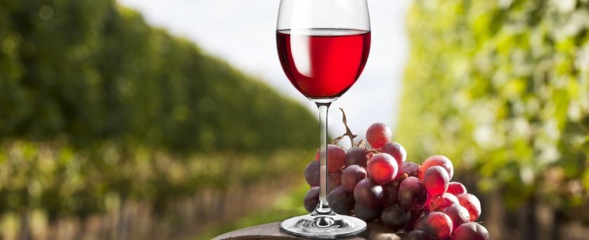 от СОФИЯ - ФЕСТИВАЛ НА МЕЛНИШКОТО ВИНО